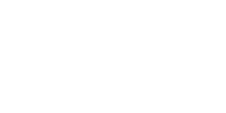Pegasus_Airlines-Logo.wine